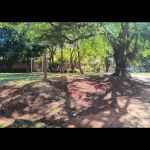 IMG-20240617-WA0015 IMG-20240617-WA0015