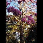 IMG-20240617-WA0040 IMG-20240617-WA0040